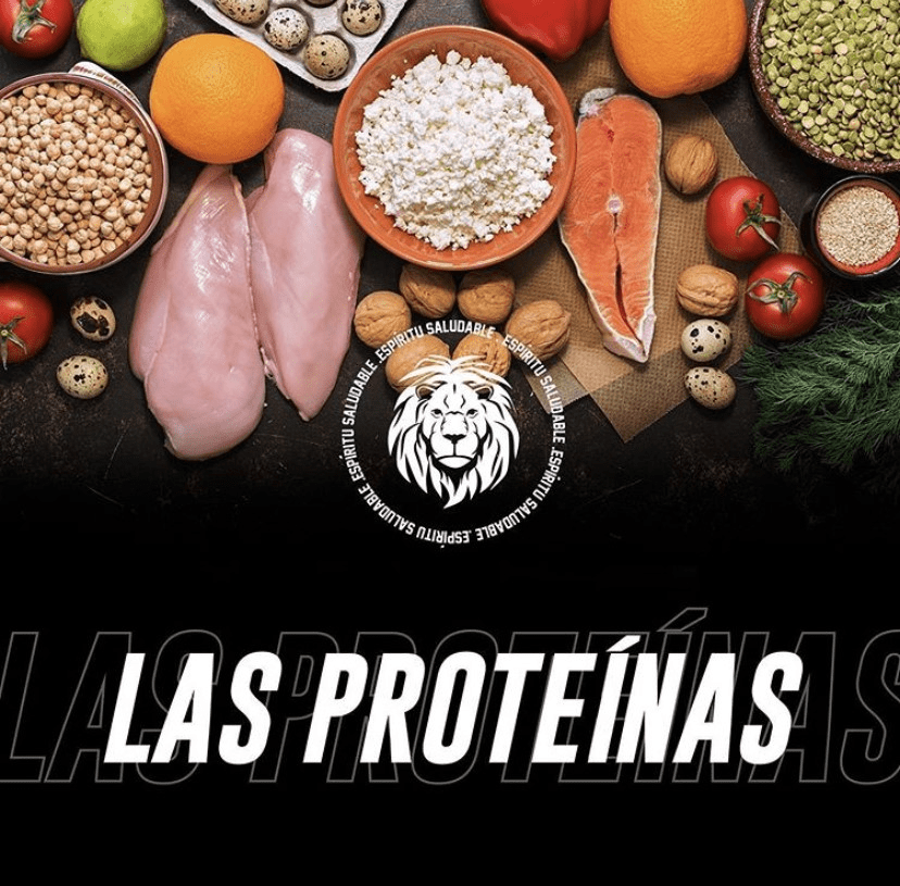 Las proteinas - Unbroken Sports Wear 