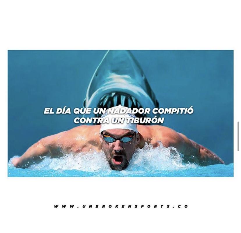 El dia que un tiburón compitio contra un nadador - Unbroken Sports Wear 